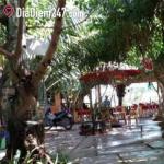 Cafe Sân Vườn 666