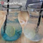 Lotus - Soda & Tr&agrave; Sữa