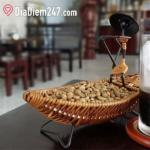 Phố Mới Cafe