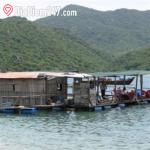 Nhà Bè Như Ý - Hải Sản Tươi Sống