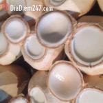 Ch&uacute; B&eacute;o - Nước Dừa, Thạch Dừa Xi&ecirc;m