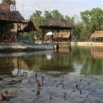 C&acirc;u C&aacute; Giải Tr&iacute;  Ẩm Thực C&agrave; Mau