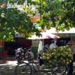 Tình Cờ Cafe - Lâm Văn Bền