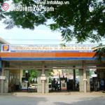 C&acirc;y xăng số 1
