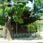 Chùa Chân Tiên