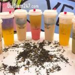 Xicha Tea - Trà Sữa Đài Loan