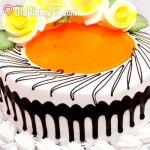 Bảo Tr&aacute;ng Bakery - H&agrave;o Nam