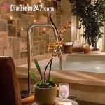 Essencia Spa - Tạ Hiện