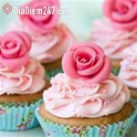 Hello Cupcake