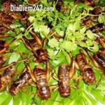 M&egrave;n Ơi - M&oacute;n Ăn Từ C&ocirc;n Tr&ugrave;ng