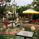 Mimosa Cafe - Ho&agrave;ng Diệu