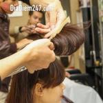 Salon Mộc Lan - Trần Đăng Ninh