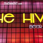 The Hive Beer Club - Lê Triệu Kiết