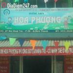 Mầm Non Hoa Phượng - B&ugrave;i Đ&igrave;nh T&uacute;y