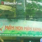 Trường Mầm Non Mầm Xanh - B&igrave;nh Thạnh