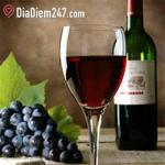 Pool Bar - Pullman Hotel