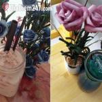 Hồ L&ocirc; B&eacute;o Coffee