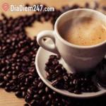 Thư Sinh Cafe - Đường 19 Th&aacute;ng 4