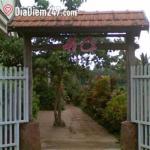 Hồ C&aacute; Cafe - V&otilde; Văn Kiệt