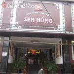 Sen Hồng - Phương Liên
